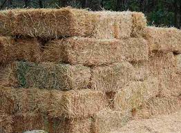 Heno para alimentación de caballos