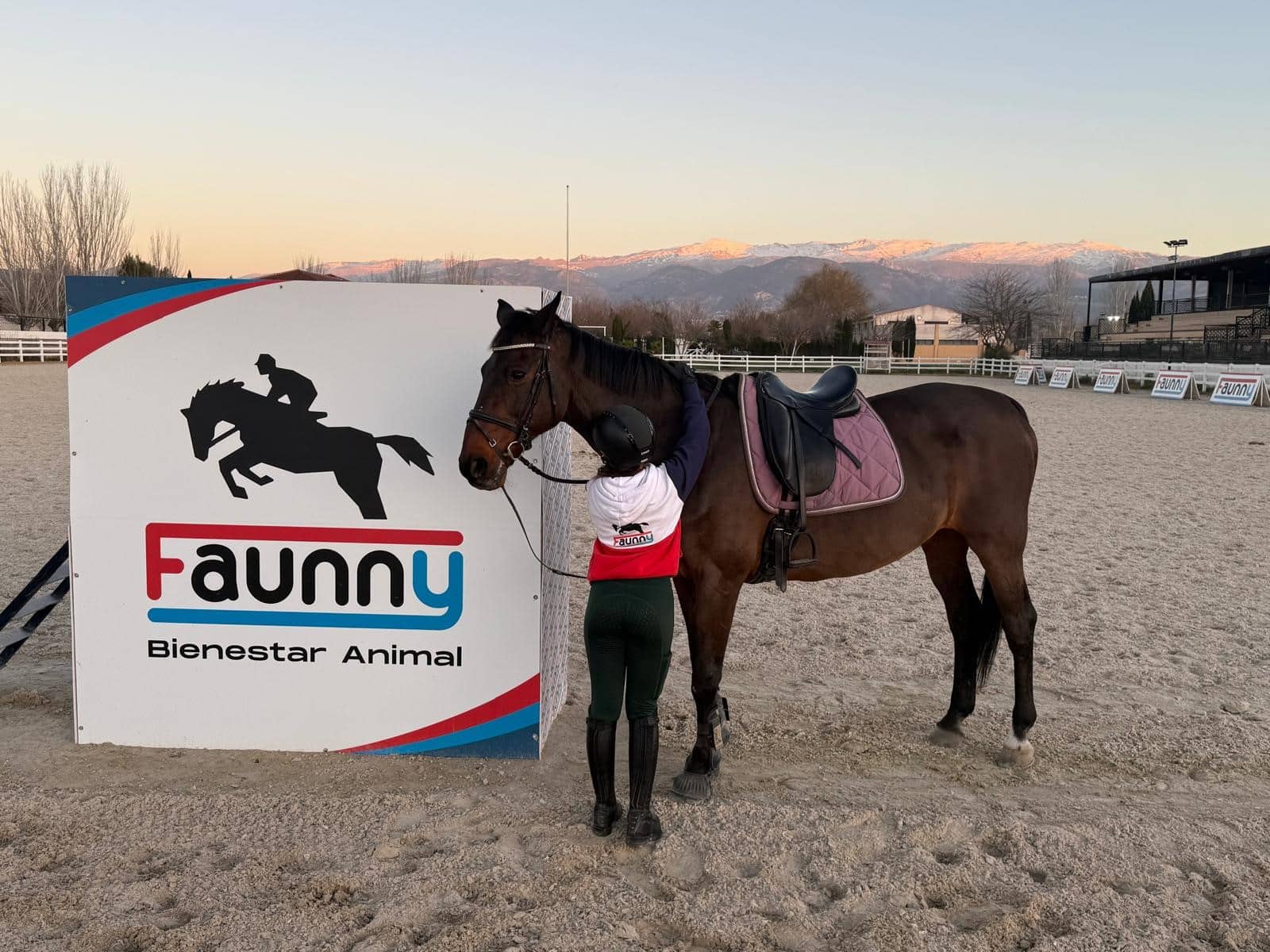 Caballos en Invierno de Faunny