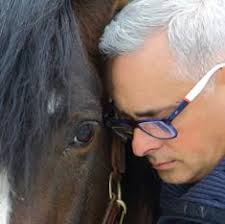 Mente del caballo de Faunny