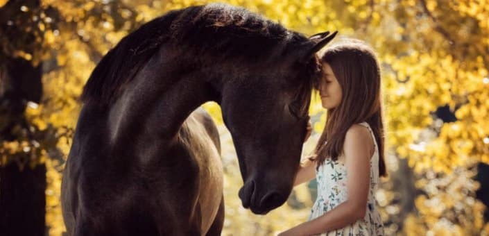 humanos desde el prisma equino